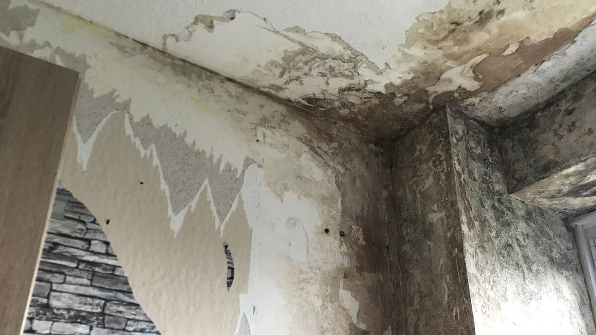 Vom Fallrohr (rechte Ecke) in der Küche ausgehend hat sich die Feuchtigkeit immer weiter ausgebreitet. Foto: Reese-Winne