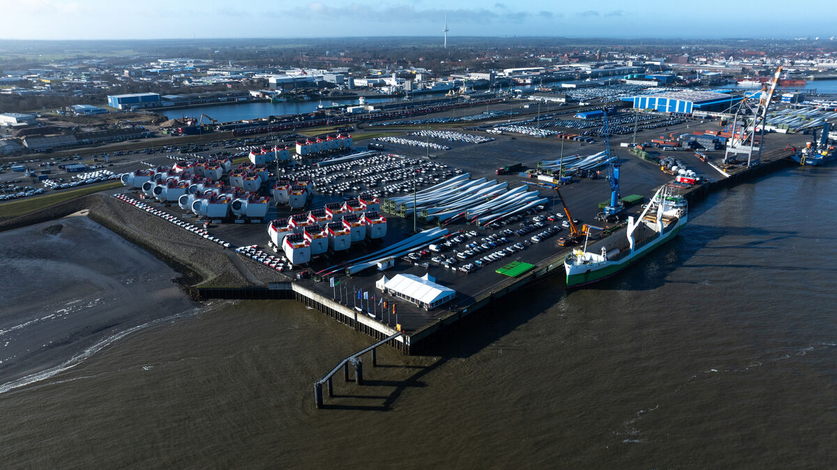 Die Freizone auf dem Hafengelände der Niedersachsen Ports GmbH soll abgeschafft werden. Foto: Philipp Schulze/dpa