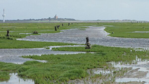 Kommunen im Kreis Cuxhaven wollen Verklappung vor Scharhörn verhindern