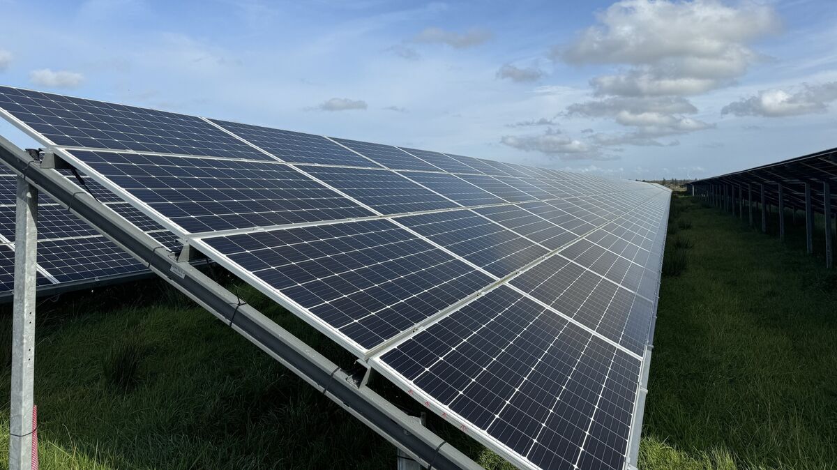 Der Solarpark in Cadenberge soll nach Vorstellungen des Cuxhavener Unternehmens eine Größe von über 16 Hektar haben. Foto: dpa/Dernbach