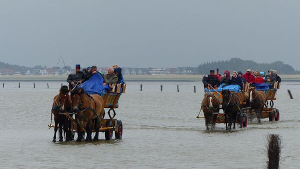 Wattwagen-Unfall in Cuxhaven-Sahlenburg: Drei Menschen verletzt - einer davon schwer