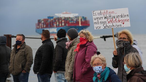 Umweltverbände prüfen Klage gegen Hamburg