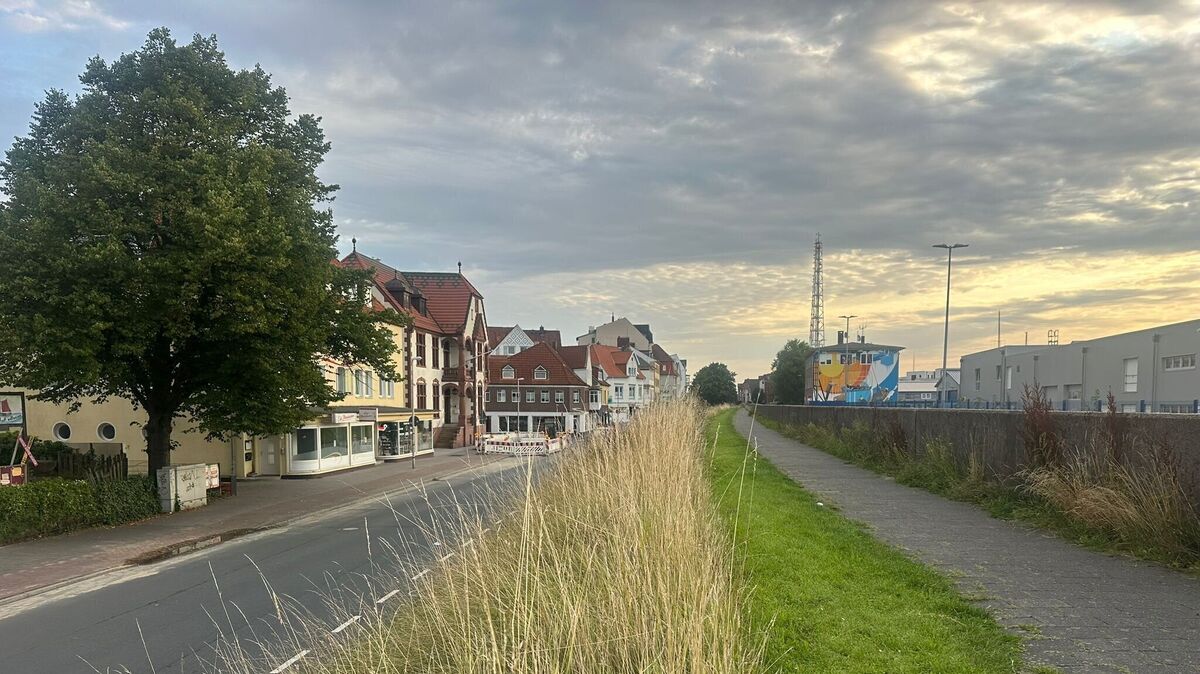 Im Bereich Deichstraße sollen im Zuge des "Deichband"-Vorhabens zahlreiche neue Bäume gepflanzt werden. Foto: Francke