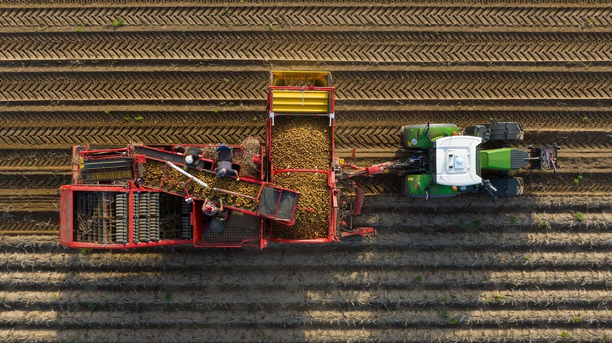 Philipp Schulze/dpa