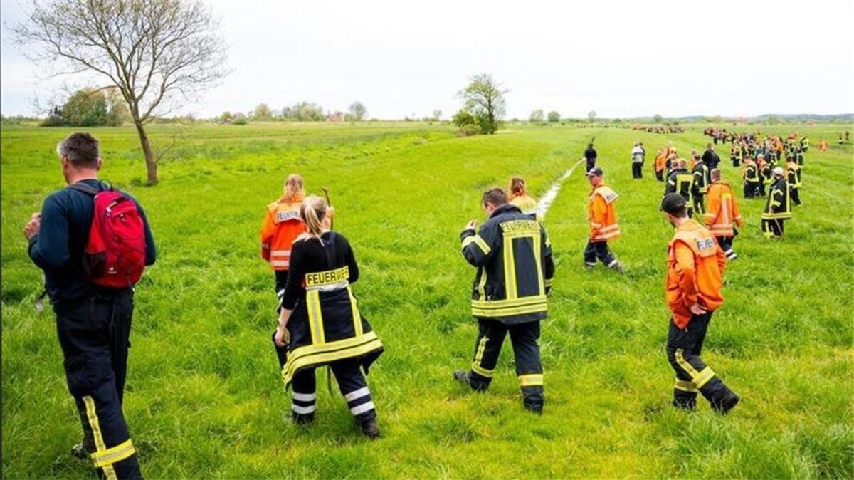 Feuerwehrleute suchen mit einer Menschenkette auf einem Feld nach dem vermissten sechs Jahre alte Arian aus Elm. Foto: Daniel Bockwoldt