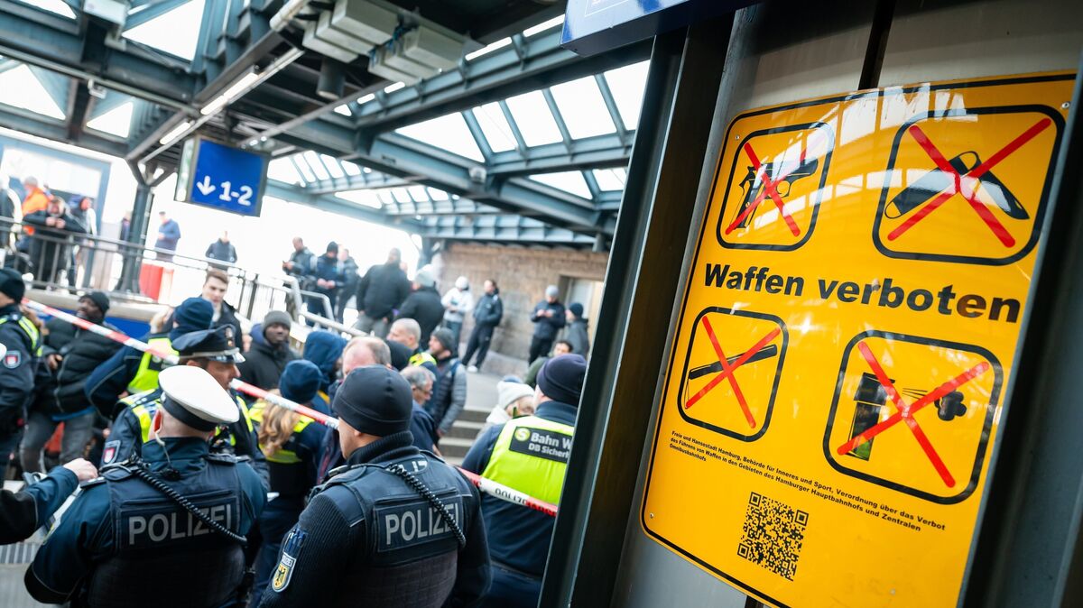 An vielen Bahnhöfen gilt ein absolutes Waffenverbot. Hinweisschilder informieren darüber, welche Gegenstände unter dieses Verbot fallen. Foto: picture alliance/dpa | Jonas Walzberg