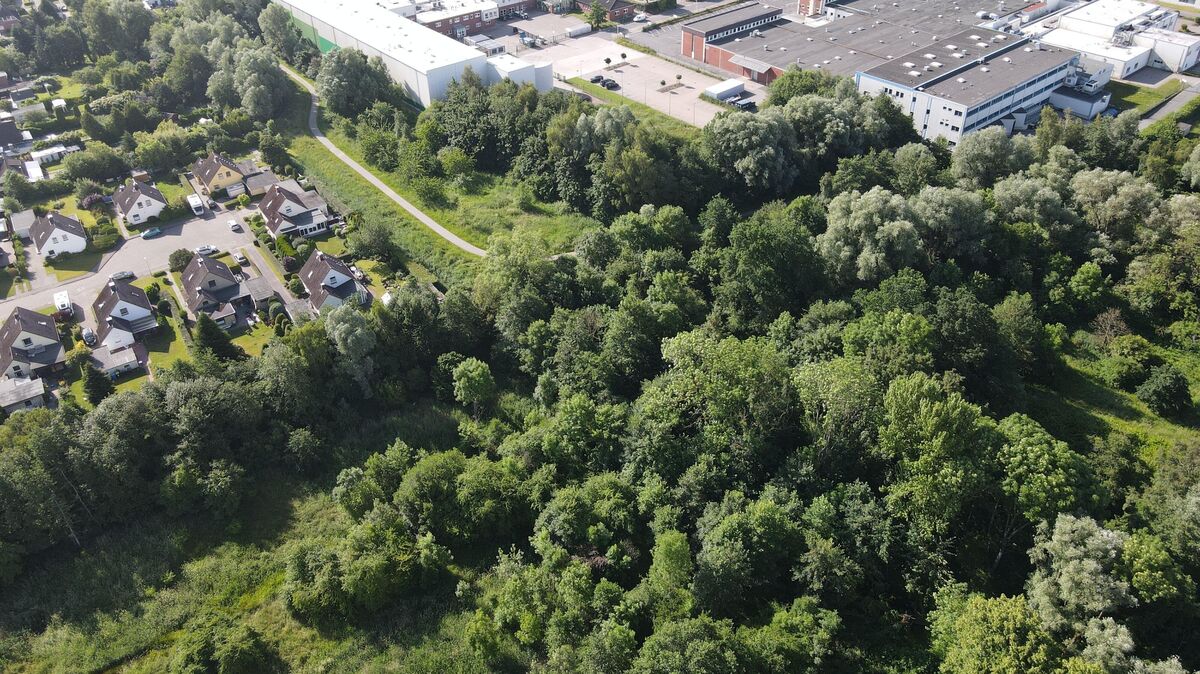 Laut BUND-Kreisgruppe Cuxhaven sollen die Bäume im Vordergrund vor dem Bau des neuen Regenrückhaltebeckens gefällt werden. Foto: BUND-KG Cuxhaven