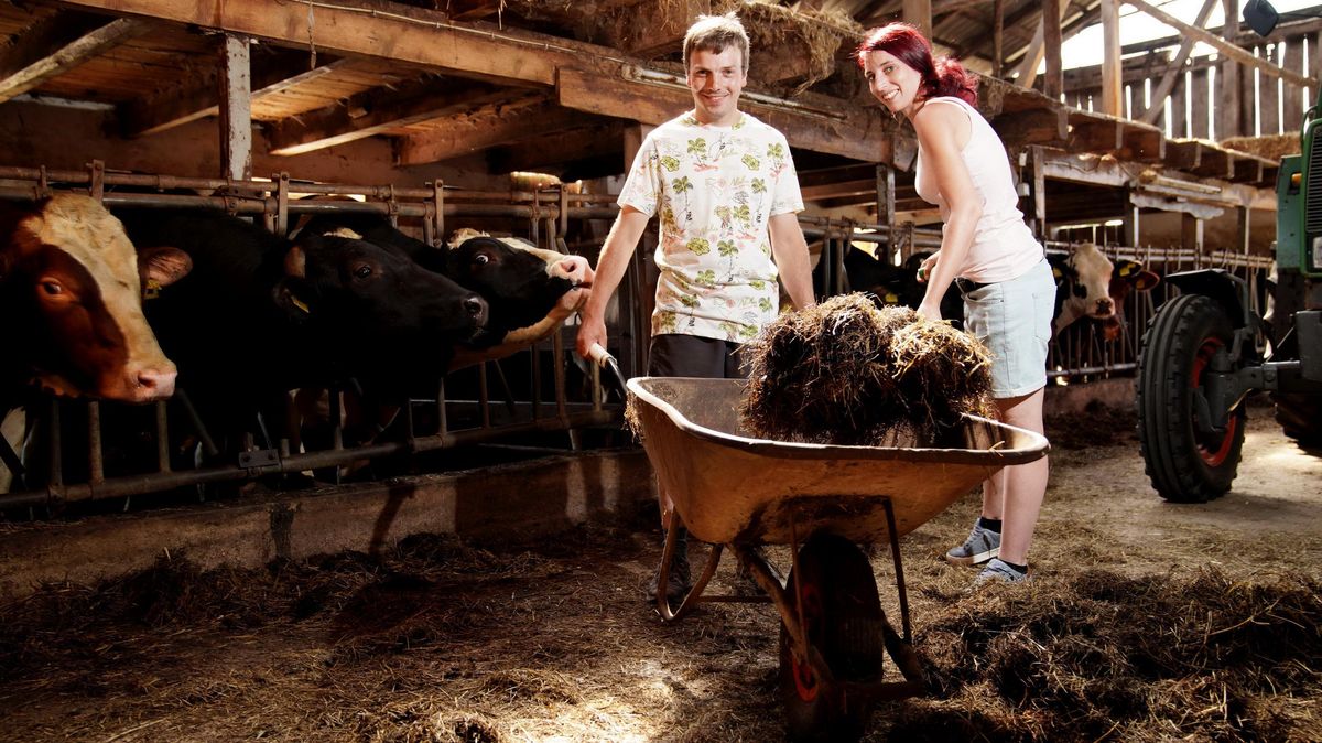 Praktikum im Kuhstall: Christopher (31) aus Lintig will mit Jennifer (32, Hausfrau aus Nordrhein-Westfalen) die Hofwoche verbringen. Foto: RTL