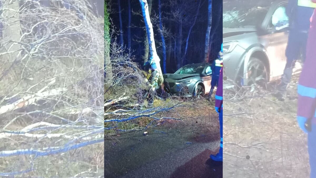 Nachdem der Fahrer mit seinem Fahrzeug aus bislang unbekannter Ursache von der Straße abgekommen und gegen einen Baum geprallt war, brach die Baumkrone ab. Foto: Feuerwehr