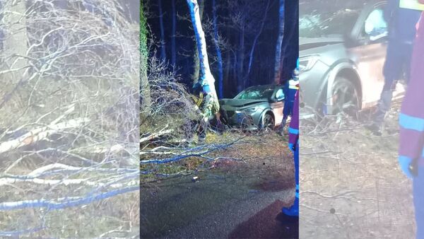 Autofahrer kommt in Lamstedt von der Straße ab - Kollision reißt Baumkrone herunter
