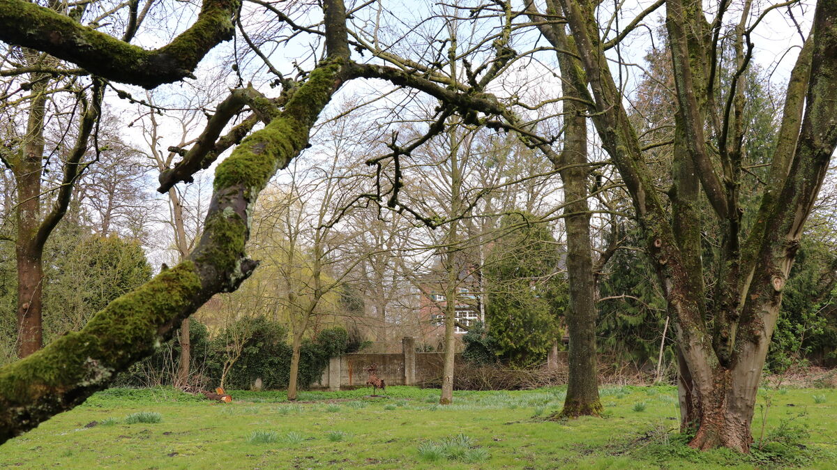 Der Park an der Hemmoorer Portland-Villa (im Hintergrund zu sehen) ist eine wahre Naturoase. Auf dem Gelände soll eine Seniorenwohnanlage entstehen. Anwohner Michael Ahrensfeldt fürchtet jetzt den Kahlschlag. Foto: Mangels