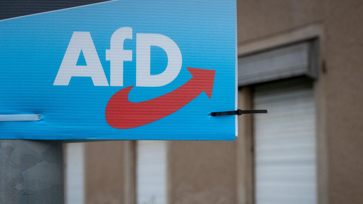 Bei vielen Menschen haben Wahlwerbung und Parteiprogramm der AfD Wirkung gezeigt. 20,8 Prozent der Wählerinnen und Wähler gaben der Alternative für Deutschland im gesamten Bundesgebiet ihre Stimme. Foto: Hendrik Schmidt/dpa