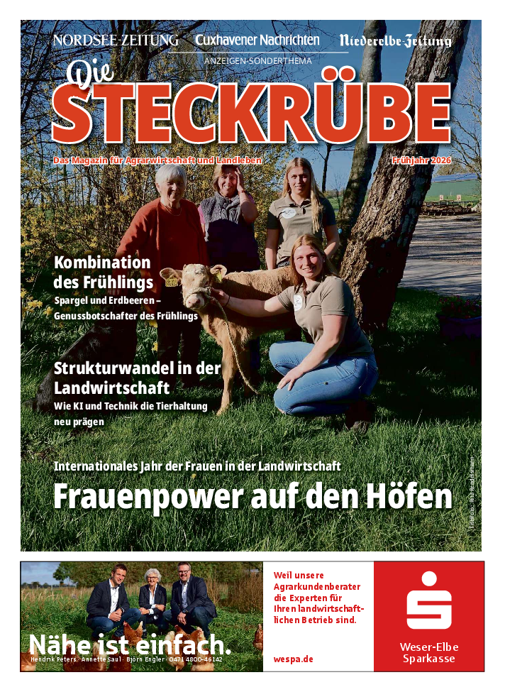 Steckrübe April 2026