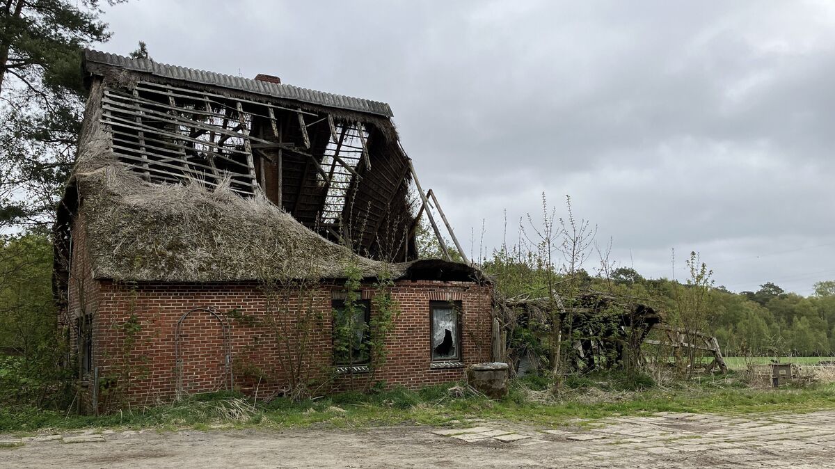 Der ehemalige Moorhof gehört zwar zur Gemeinde Armstorf, ist aber nur von Großenhain aus zu erreichen. Foto: Sammlung Hildebrandt