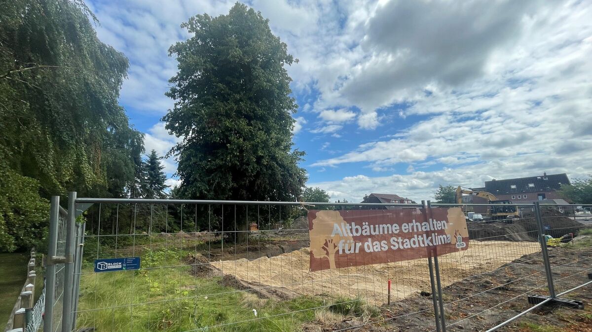 Am Bauzaun hatten Baumschützer bereits vor Tagen ein Transparent angebracht. Das Schicksal der im Bildhintergrund erkennbaren Linde wird die Protestaktion vermutlich nicht aufhalten können. Foto: Koppe