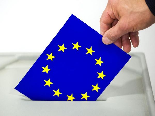 Europawahl und Direktwahlen in Niedersachsen