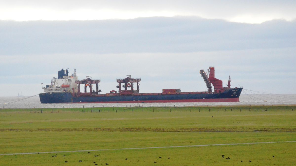 Seit Sonnabend liegt die "Bontrup Pearl" zwischen Otterndorf und der Ostemündung. Das Baustellen-Schiff hat mit mehreren Ankertrossen an Bug und Heck ungewöhnlich dicht am Elbufer festgemacht. Foto: Schröder