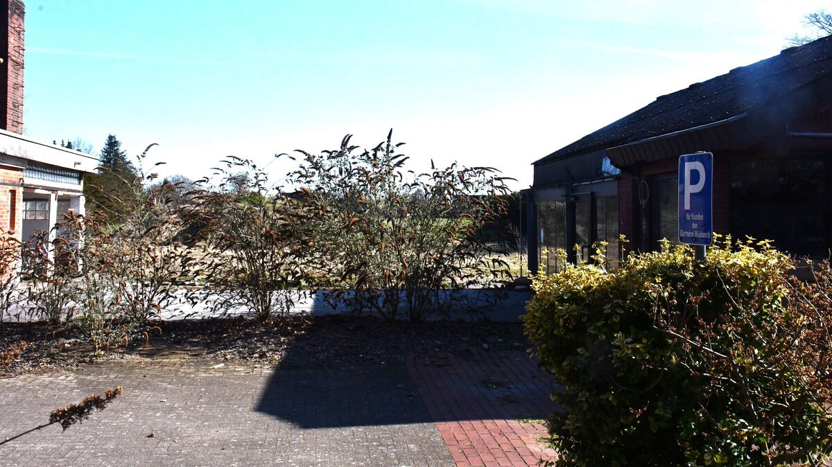 Ein Blick vom Parkplatz der ehemaligen "Gärtnerei Wiebusch" in Hemmoor-Basbeck reicht nicht, um zu erfahren, wie groß das rückwärtige Gelände tatsächlich ist. Foto: Schröder