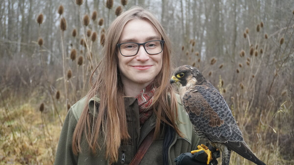 Leonie Johland ist Falknerin und im Natureum in Neuhaus tätig. Ihr erster Vogel war ein Habicht. Hier ist sie mit dem heimischen Wanderfalken Kepler zu sehen. Er ist das schnellste Tier der Welt und die drittgrößte Falkenart. Foto: Brettschneider