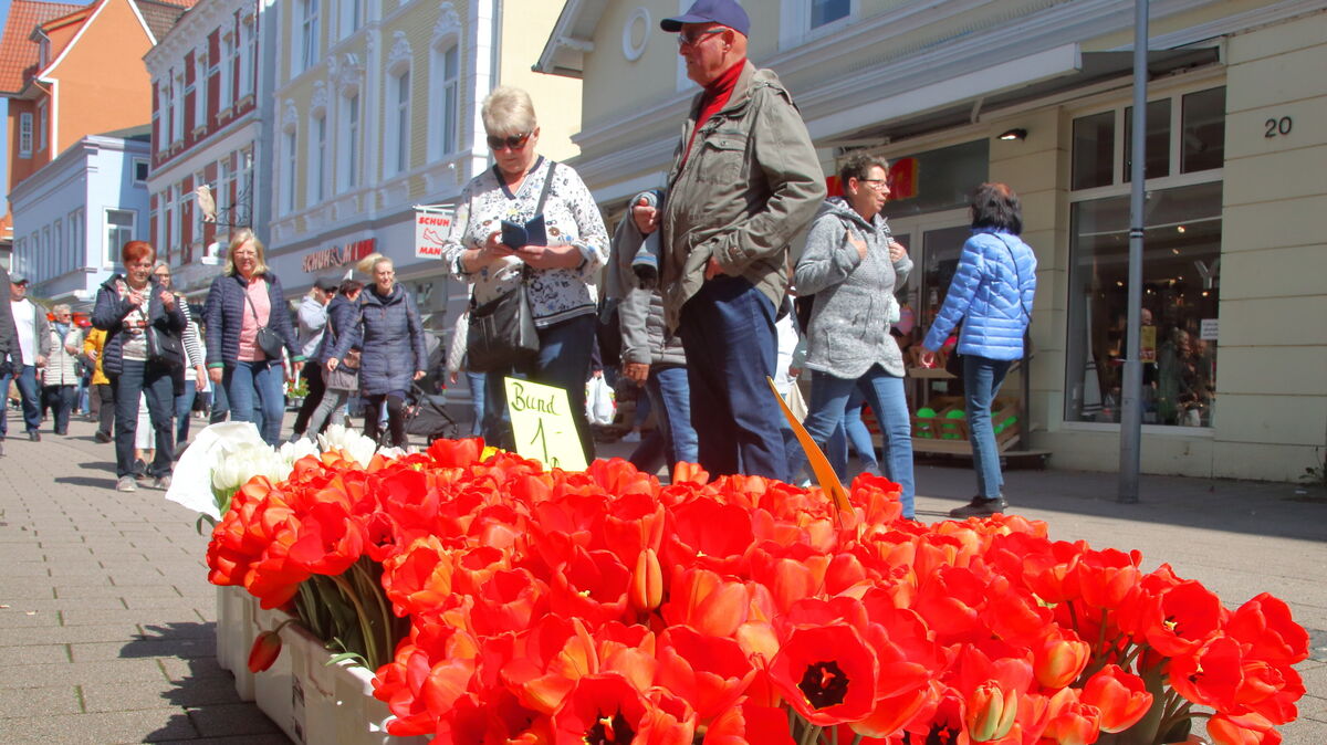 Auch im Jahr 2025 dürfte es beim Blumenmarkt in der Innenstadt wieder farbenfroh werden. Archivfoto: Koppe