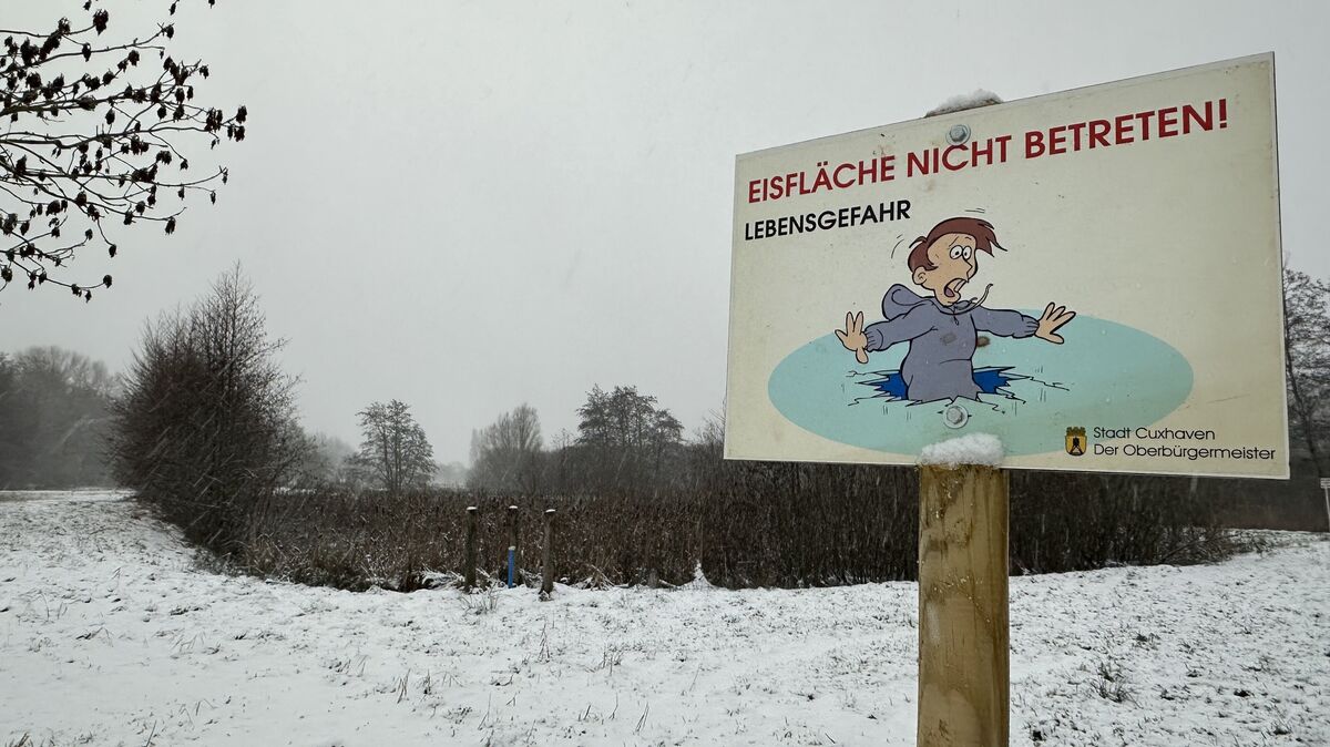 Die Moorwiesen sind aktuell zugewachsen, daher eignen sie sich nicht zum Schlittschuhlaufen. Das Warnschild steht trotzdem. Foto: Reese-Winne