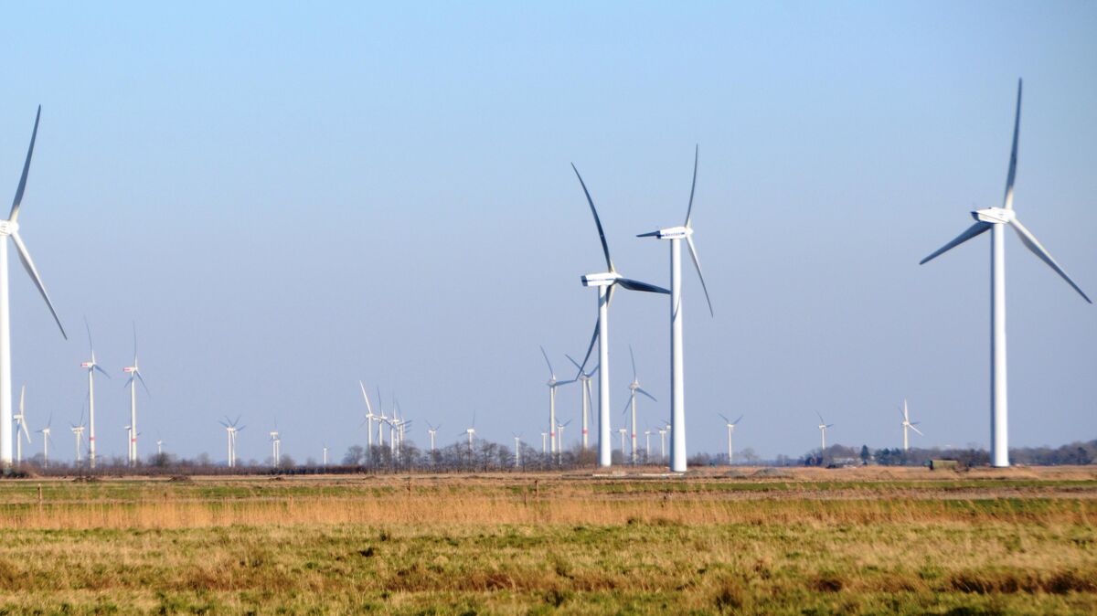 Der Windpark bei Oederquart. Foto: Rohde