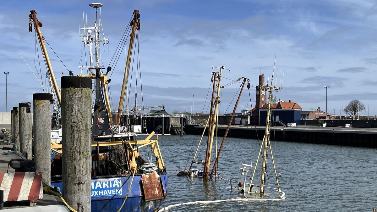 Im Alten Fischereihafen ist am Mittwochmorgen vor der Kulisse des Hapag-Turms der Kutter "Seehund" gesunken. Nur die Masten schauen noch aus dem Wasser. Foto: Reese-Winne