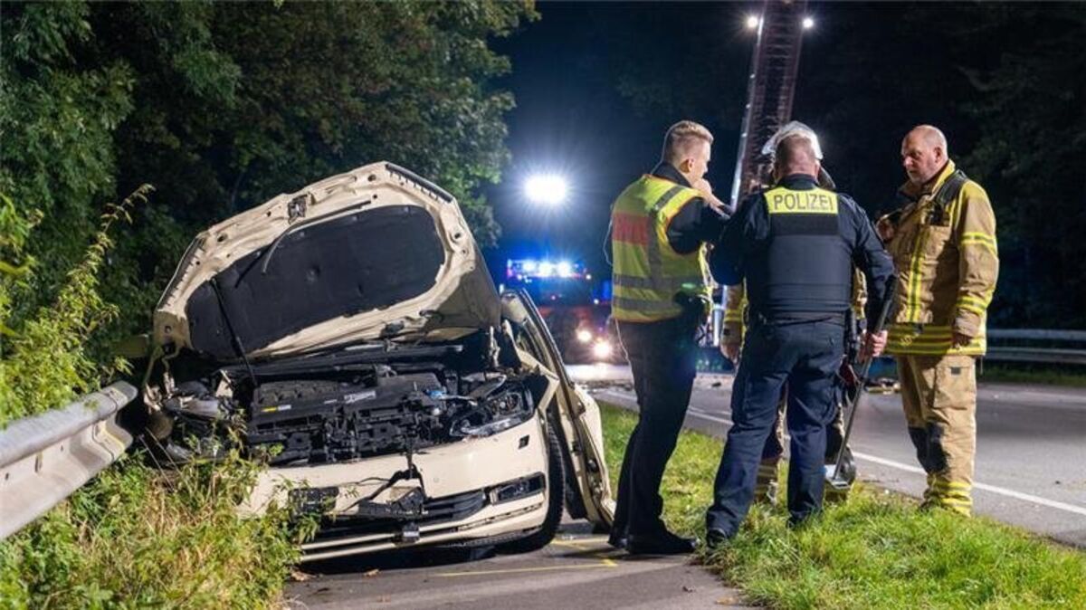 Bei einem Unfall in Stade-Riensförde kamen ein Autofahrer und zwei Pferde ums Leben. Foto: Joto