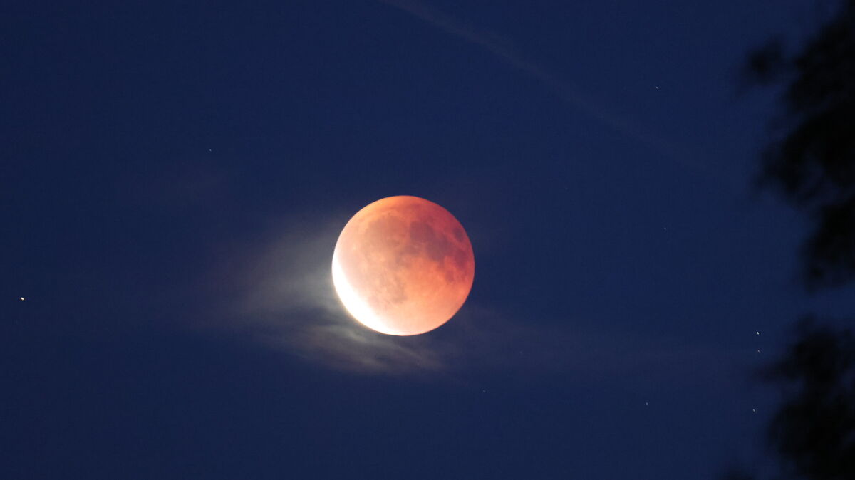Anfang der zweiten Phase der Mondfinsternis. Foto: Winkelmann