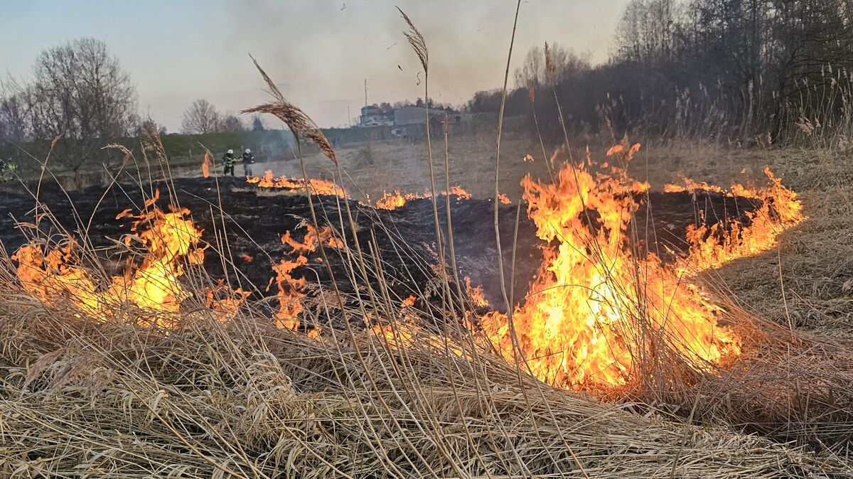 Das Feuer breitet sich sehr schnell aus. Die Flammen sind meterhoch und werden mit Wasser aus wasserführenden Fahrzeugen aus mehreren Strahlrohren gelöscht. Foto: Lange