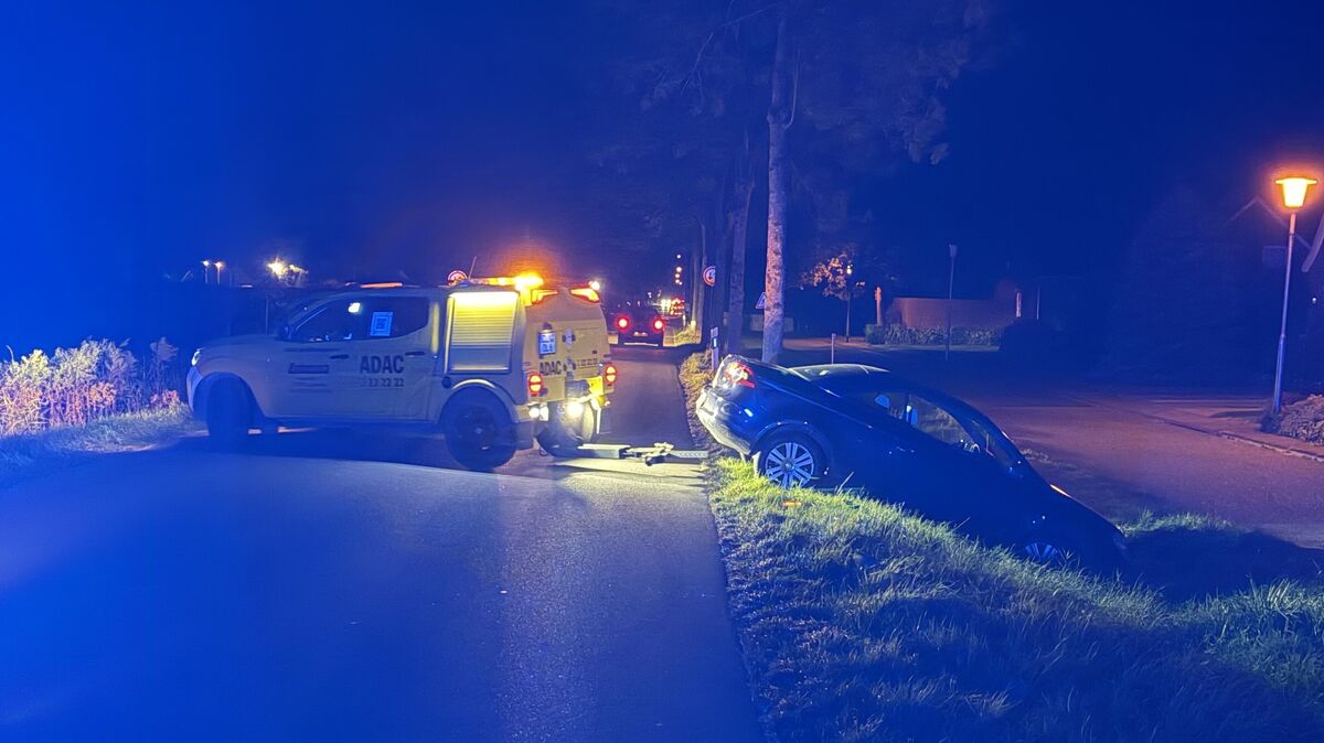 Mit über 1,6 Promille kam eine junge Autofahrerin in Lüdingworth von der Straße ab. Foto: Heinsohn