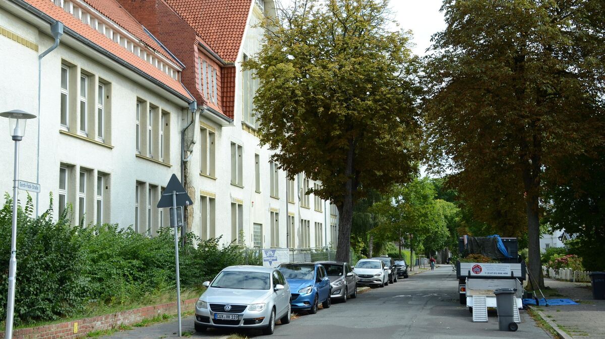 Ein Merkmal der Gorch-Fock-Straße ist nicht nur das zunehmend verwahrlosende ehemalige Schulgebäude, sondern auch der dichte Baumbestand. Für mehrere Anlieger, die nun die Straße selbst reinigen müssen, ist genau das ein Problem. Foto: Rohde