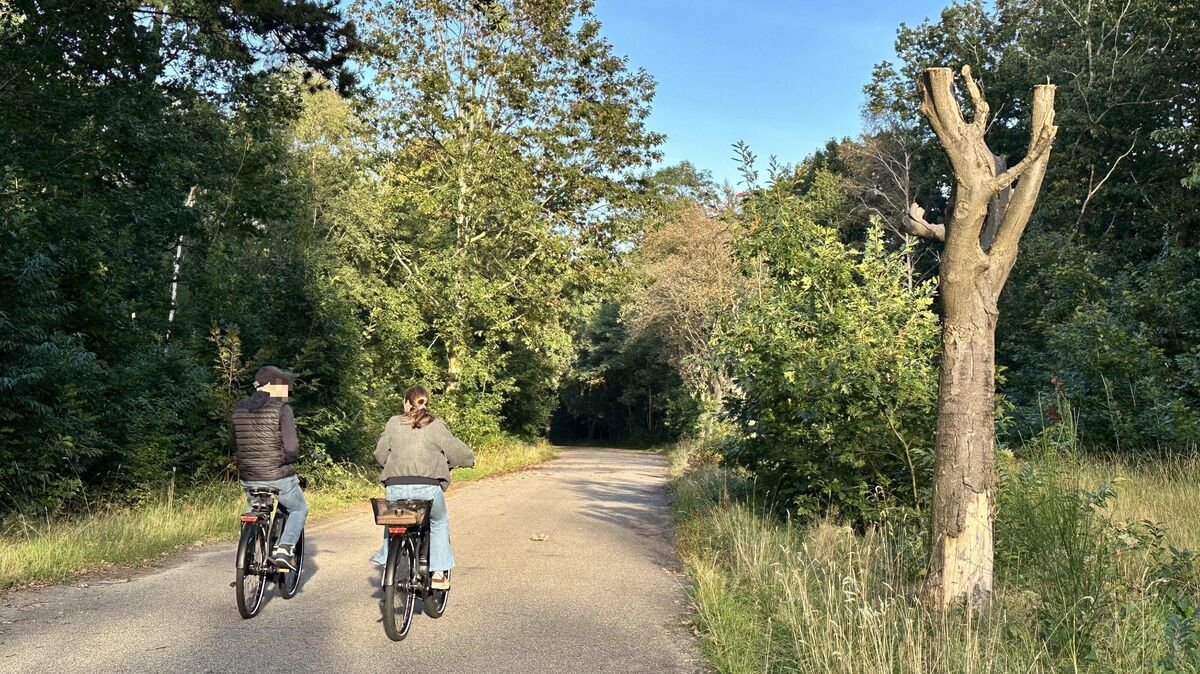 Vor zehn Jahren wurde der Rad- und Wanderweg durch das ehemalige Marine-Munitionsdepot zwischen Altenwalde und Oxstedt eröffnet. Foto: Reese-Winne
