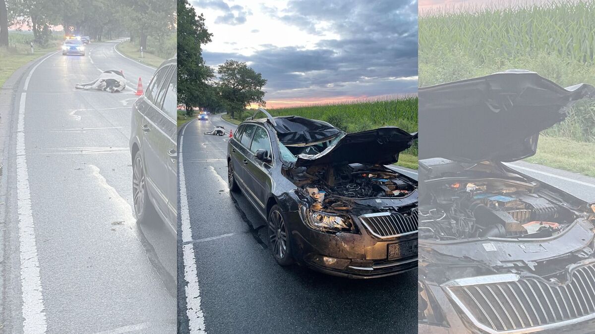 Am Fahrzeug entsteht erheblicher Sachschaden. Von einem Totalschaden ist auszugehen. Foto: Lange
