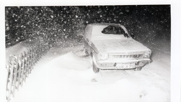 Cuxhaven: Zoo-Futter auf dem Schlitten transportiert