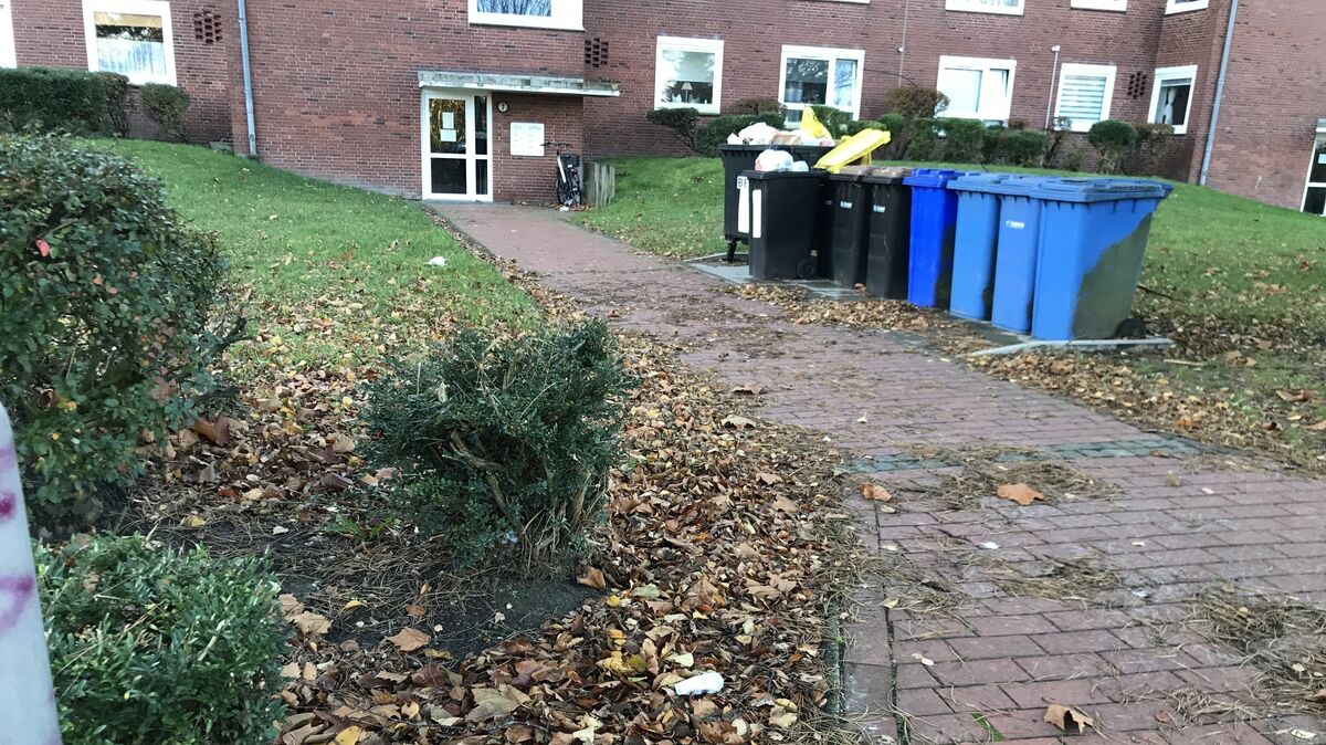 Mieterinnen und Mieter der Alpha Real Estate in Cuxhaven müssen sich weiter allein mit Mülltonnen, Winterdienst & Co.  beschäftigen; die Hausmeisterdienstleistungen sind zurzeit eingestellt. Foto: Reese-Winne