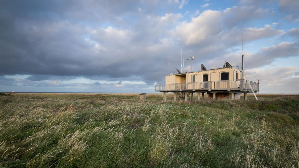 Das Haus des Vogelwarts auf Scharhörn: Im Hamburger Wattenmeer ist die Wanderdüne ein Hotspot der Vogelbeobachtung. Das abgeschiedene Leben, umringt von rund 100.000 Vögeln hat seine Tücken - zieht jedoch immer wieder naturbegeisterte Menschen an. Foto: Ralph Martin