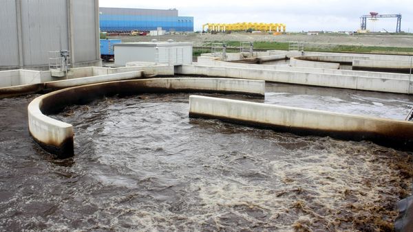 IHK Stade: Präsident Windgassen zurückgetreten