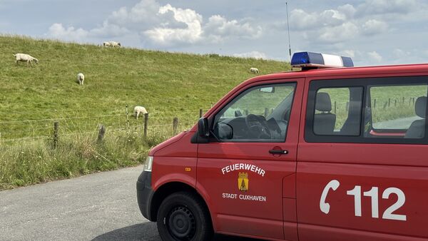 Wikinger-Schach und Highlights: Jugendfeuerwehr zieht Bilanz