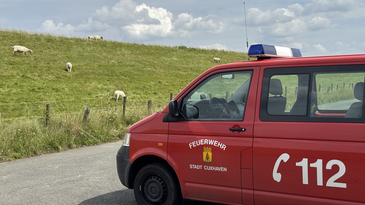 Ein Fahrzeug der Cuxhavener Feuerwehr vor dem Deich in Otterndorf-Müggendorf. Die Rund ums Sommercamp waren die Jugend-Wehren viel unterwegs. Foto: Kreisjugendfeuerwehr Cuxhaven