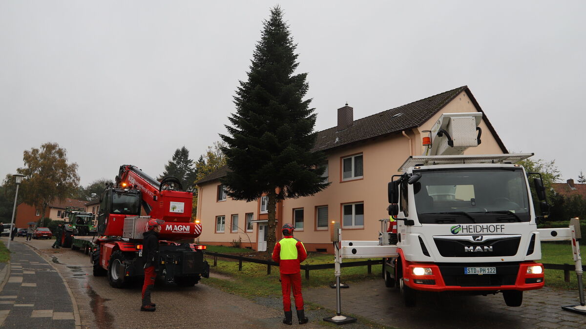 Schweres Gerät wurde aufgefahren, um die zehn Meter hohe Tanne im Altenwalder Kornblumenweg zu fällen. Die Arbeiten wurden perfekt ausgeführt, der Baum kann nach Hafnarfjördur verschifft werden. Foto: Witthohn