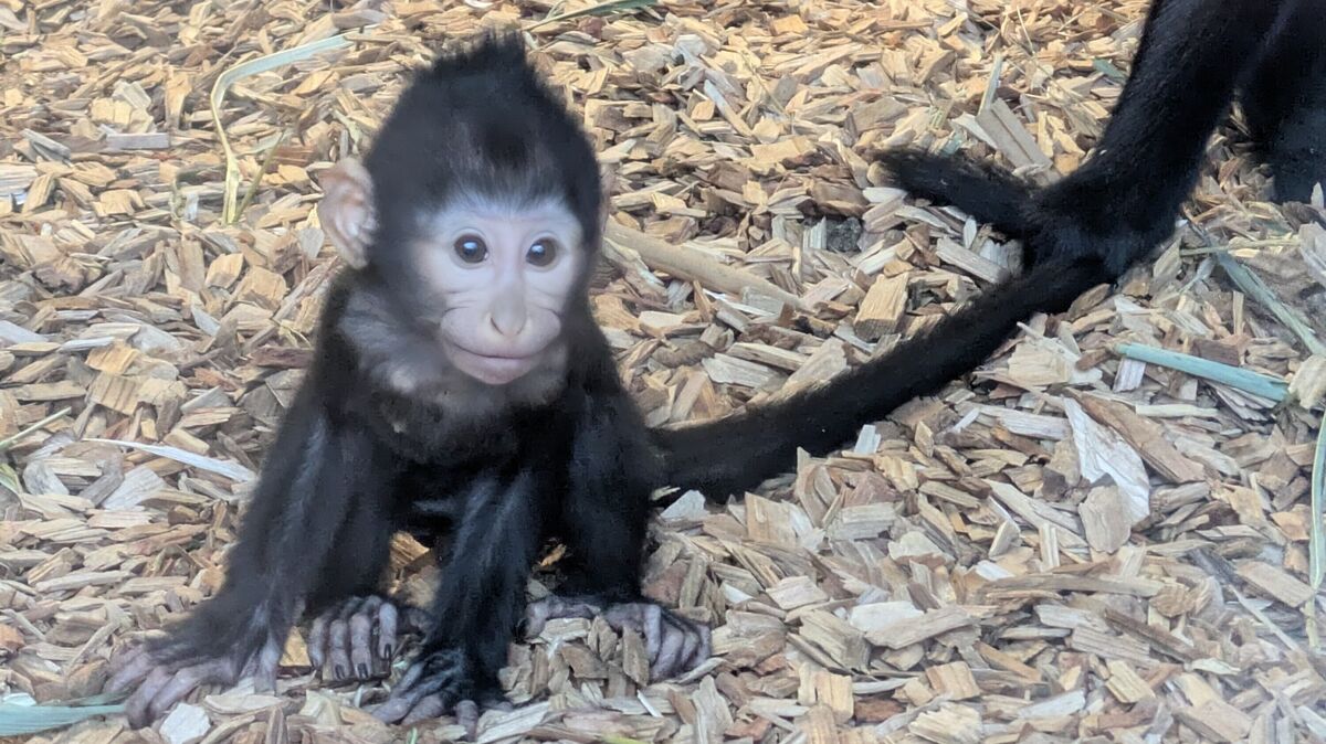 Immer öfter löst sich Inge von ihrer Mama.