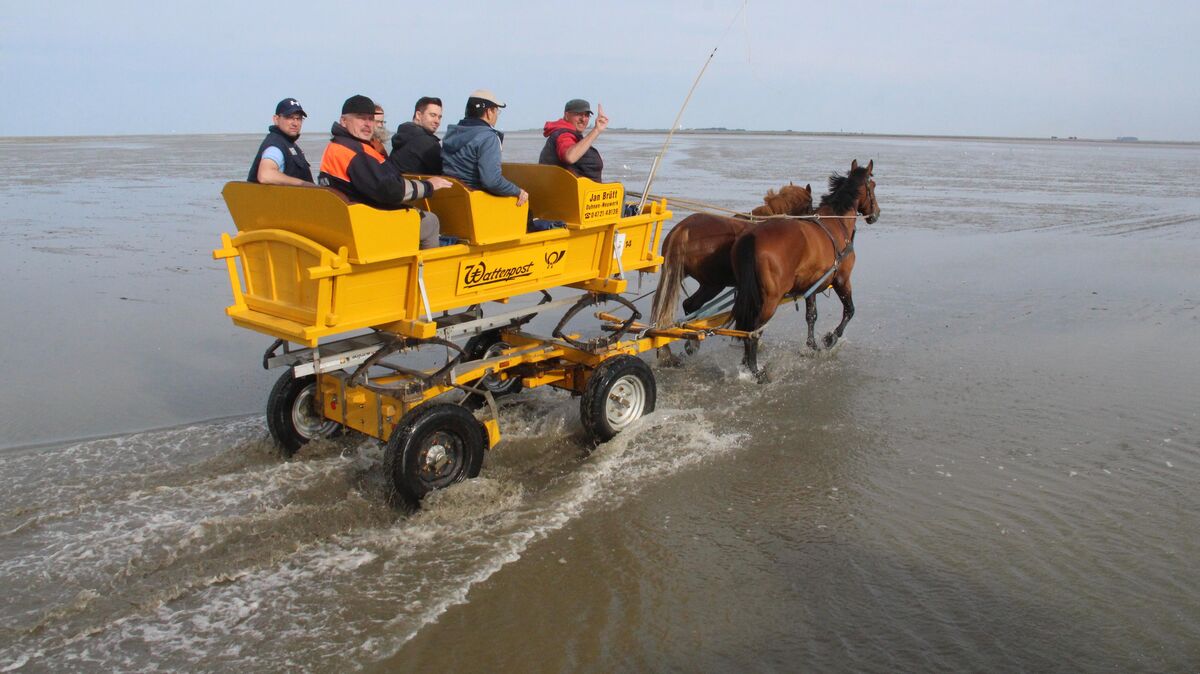 Wattwagenfahrer Jan Brütt fuhr mit Behördenvertretern am Freitagmorgen nach Neuwerk zwecks offizieller Abnahme des neu gesteckten Wattweges. Fotos: Kramp