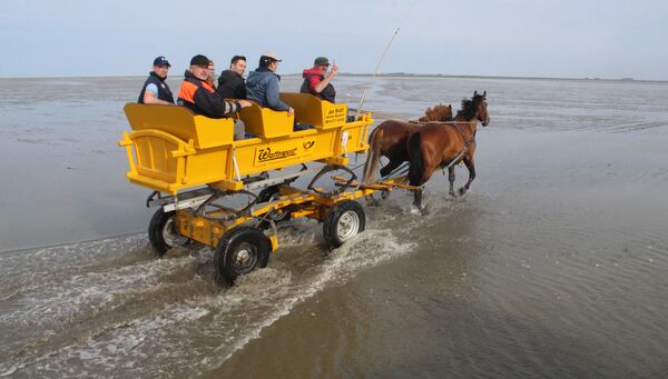 Neuer Wattweg von Cuxhaven nach Neuwerk offiziell eingeweiht