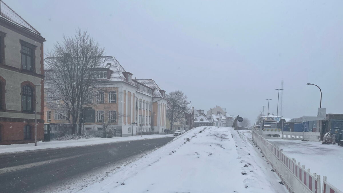 Leerstelle: Wo noch bis Sonnabend zwei große Rosskastanien standen, schweift der Blick nun über den "nackten"  Deich - vorerst jedenfalls. Die Stadtverwaltung verspricht, nachzupflanzen. Foto: Koppe