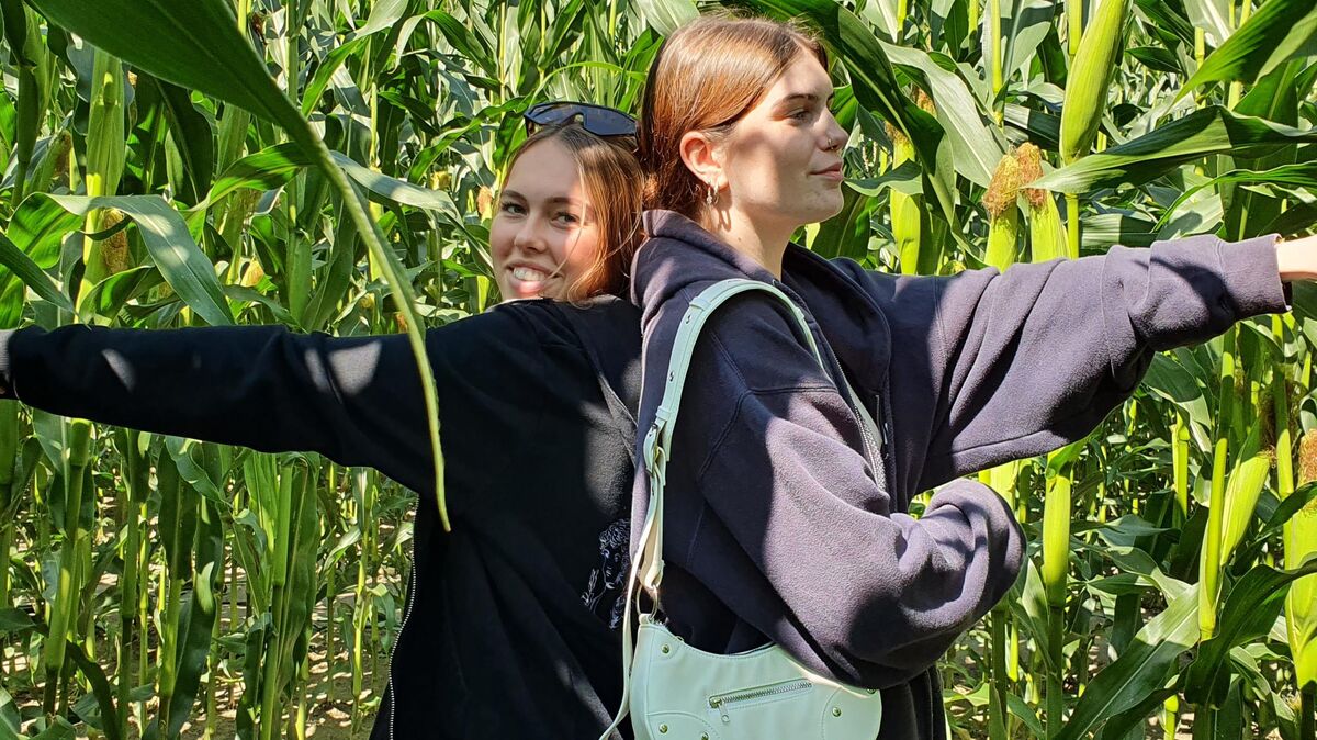 Rechts oder links, das ist hier die Frage: Die Cuxland-Urlauberinnen Nelly (links) und Paula haben für unsere Zeitung die Maislabyrinthe in Oederquart und Otterndorf getestet. Dabei haben sich die Freundinnen ordentlich verlaufen. Foto: Mangels