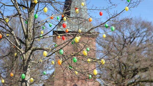 Cuxhavener Nachrichten und Niederelbe-Zeitung wünschen allen Lesern frohe Ostern