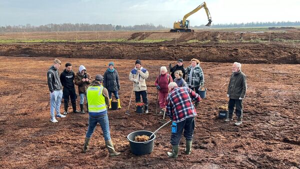 "Leisten hier Pionierarbeit": Freiwillige im Ahlenmoor im Einsatz für die Umwelt