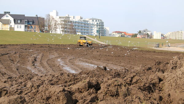 Deicharbeiten in der Cuxhavener Grimmershörnbucht: Spaziergänger müssen Umwege nehmen
