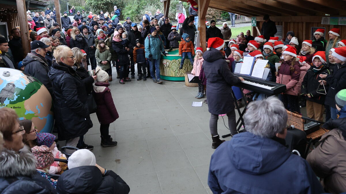 Der Kinderchor der Grundschule Hechthausen hatte an Heiligabend einen großen Auftritt im Zoo. Foto: Larschow